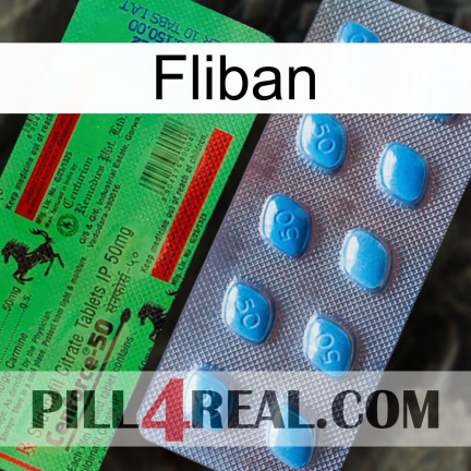Fliban new03